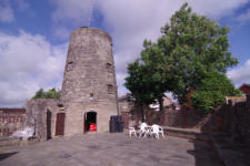 Enclosed Yard