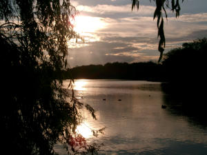 Himley Hall