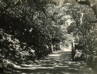 The Drive - 1960's